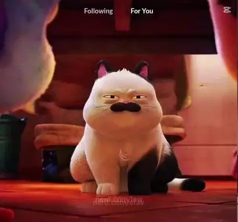 Video by low