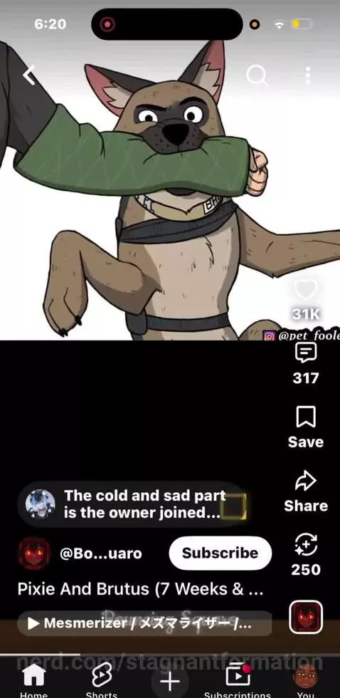 Video by stagnantformation