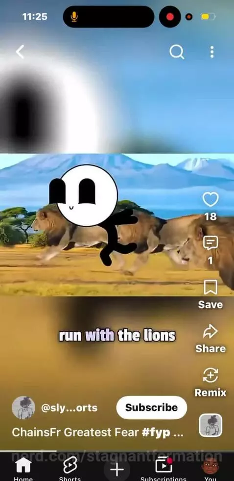 Video by stagnantformation