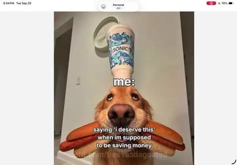 Like, and follow for doug the dog! by treevasdagoated