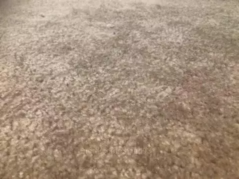 Video by chand931