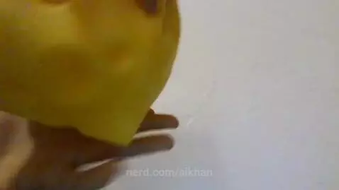 keep or not keep with squishy's by aikhan