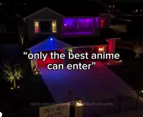 OKAY WHAT ABT MHA IM WILDIN? :3 #MHA #ANIME #JJK #yourlocalc... by yourlocalchalantdudewbraids