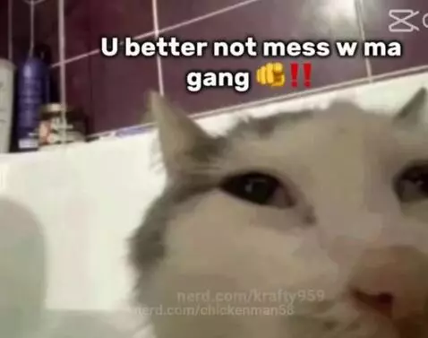 Video by chickenman58