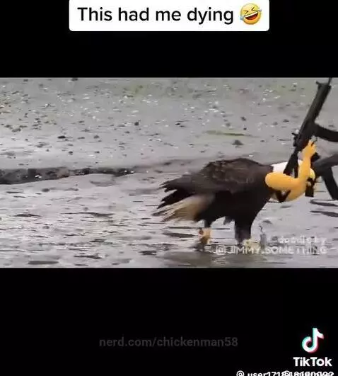 MURICA🦅🇺🇸🇺🇸🇺🇸 by chickenman58
