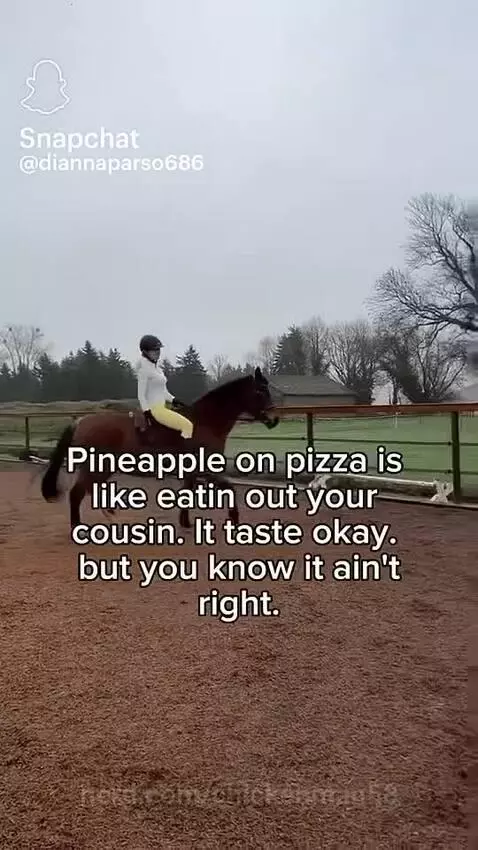 I mean….. by chickenman58