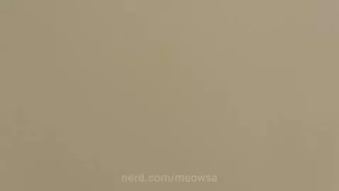 Loooooppppp by meowsa