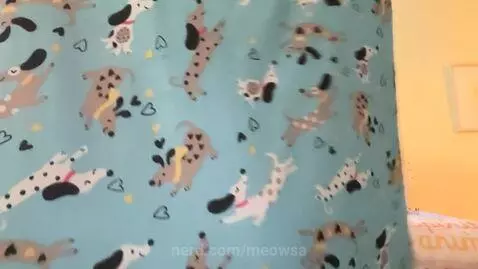 Video by meowsa