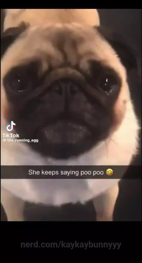 Poo poo by kaykaybunnyyy