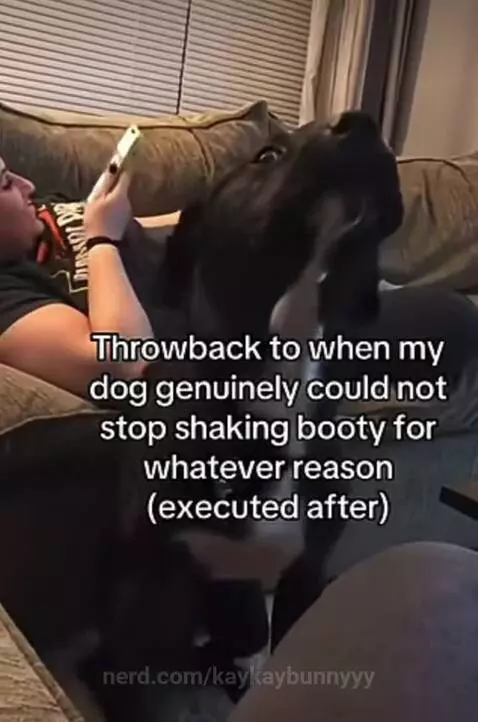 Video by kaykaybunnyyy