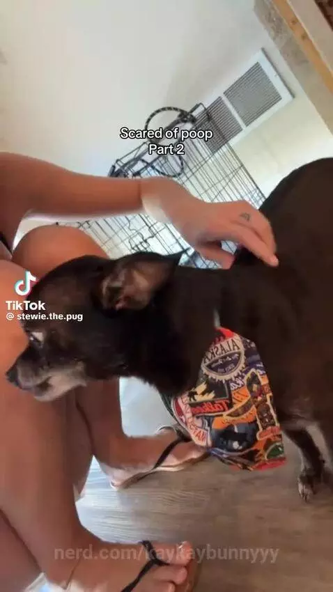 Video by kaykaybunnyyy