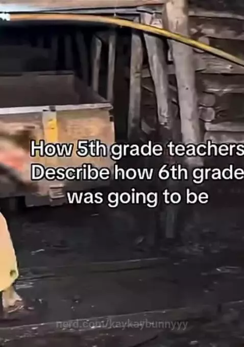 Video by kaykaybunnyyy