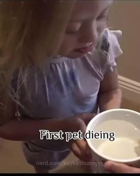 Video by kaykaybunnyyy