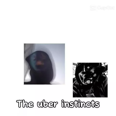 Video by nullar