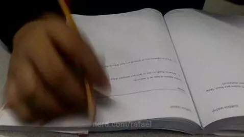 school workn by rafael
