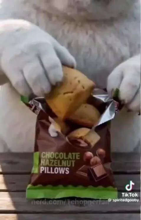 gubby dose snacks ep2 (hazel nut chocolate pillows) by 1chopperfan