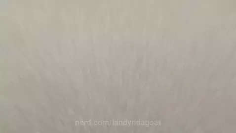 Video by landyndagoat