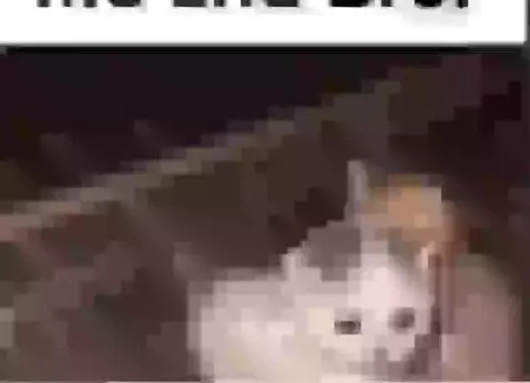 Video by nanamithegoat