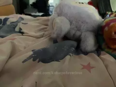 Video by katseye4everlove