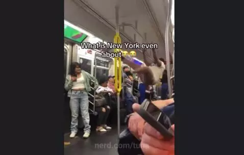Video by tuna