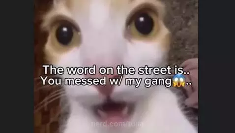 Video by tuna